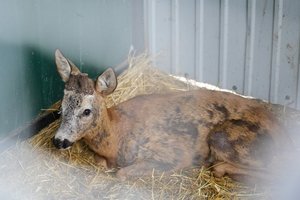 ����� ��� ������� ���� ������: ���� ������ ��������� ������������ � ������
