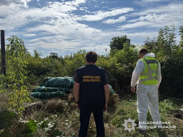 На Дніпропетровщині поліцейські викрили незаконне вирощування конопель та збут канабісу: вилучено понад 20 кг наркотичного засобу та понад 1,3 тис рослин