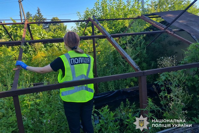 Незаконно вирощували коноплі у Кам’янському: перед судом постануть двоє містян