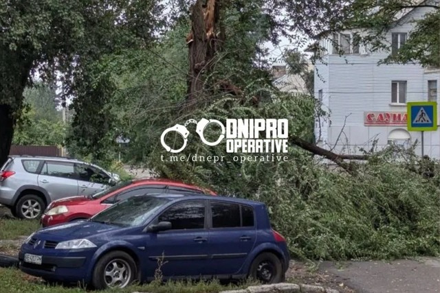 Повалені дерева, пошкоджені автівки та затримки трамваїв: які наслідки затяжної зливи у Дніпрі