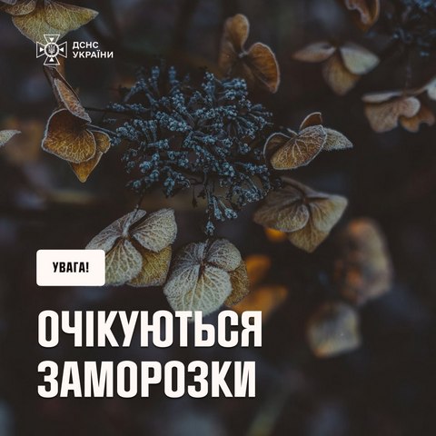 Внимание, заморозки!