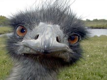 ��������� ����� ����������� ����� ��� �� ����������� 