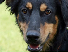 ������� ��������� �������� ������ ���� �����