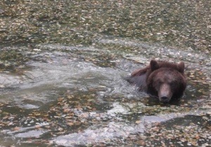 ������������� ��������� ���� ��������� � ��������� ���������