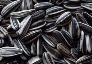 �������� � 12 ������� ������� ������������ � ���������������