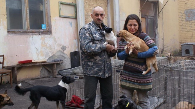 � ��������� ���������� ������� ������ ����� �������� ��������