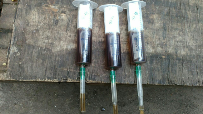 � ������ ���� ������ ���� �� 20 �����