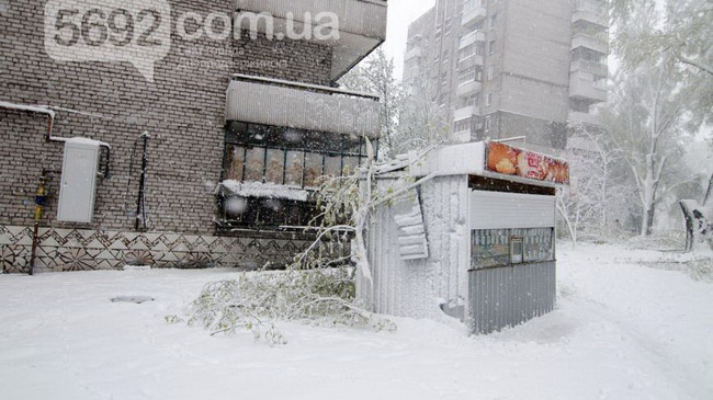 ����� ���� ������� ��������