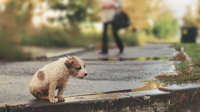 ������ ���������� ��������� ��������� ������ 107 ��������� ������ �� ��������� ��������