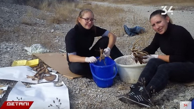 ��������� �������� � ����������� ����� �������� �� �����