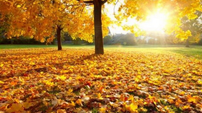 ��������� ������������ ���� ���������� �� ��������� 