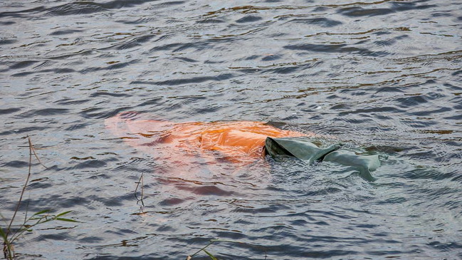 �� ������ �� ���� ����� ����