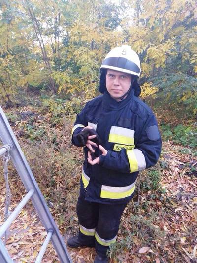 � ������ ��������� ����� ������� � ������