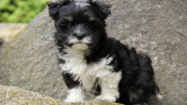 ���������� ������ ����� ������� ������� ������ � �����