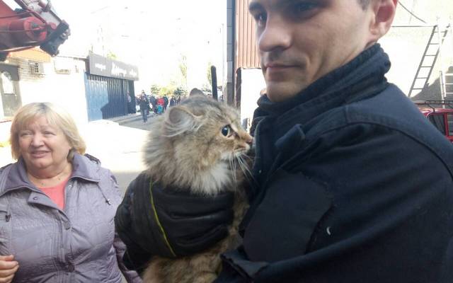 � ������ ��������� ����� ���� � ������