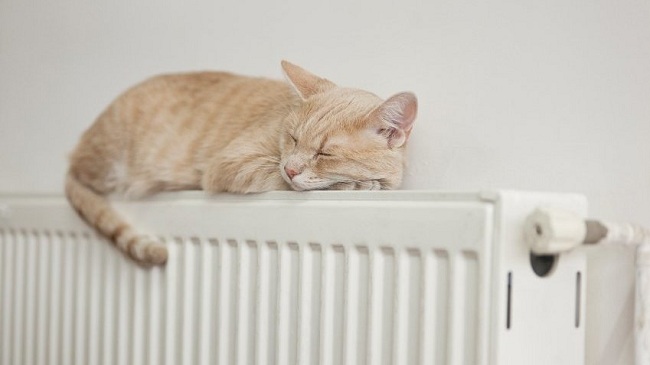 ����� � ��������� �������� ������������ �����