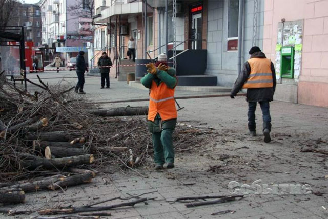В Каменском планируют подрезать деревьев на 2 млн гривен