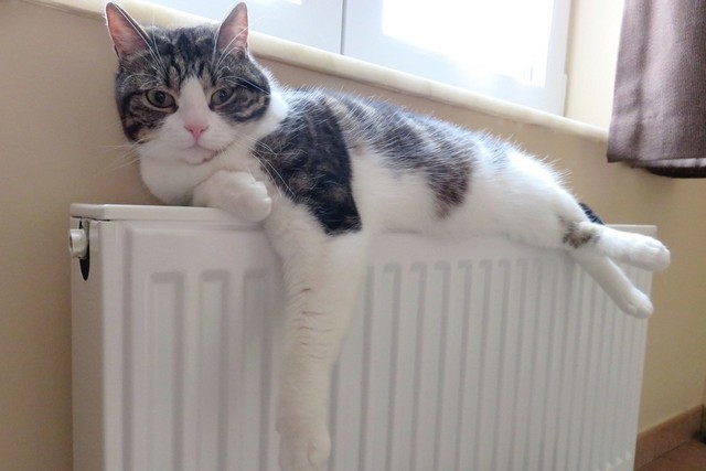 Цифра дня. Газ для производства тепла подорожал сразу на четверть