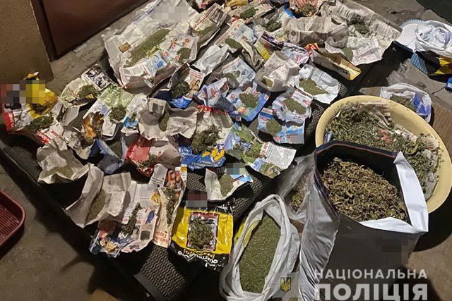 10 кг марихуаны обнаружили полицейские в доме у новомосковца
