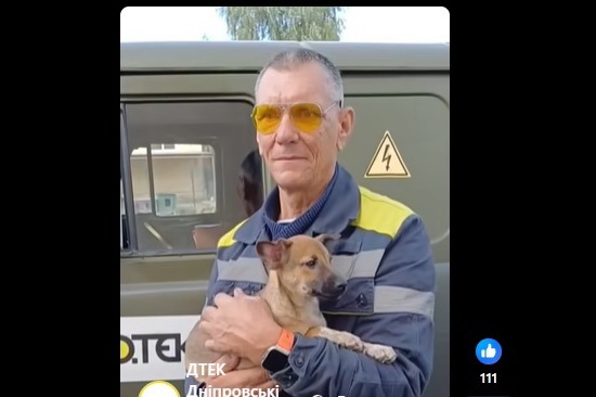 Днепровские энергетики спасли брошенную собачку