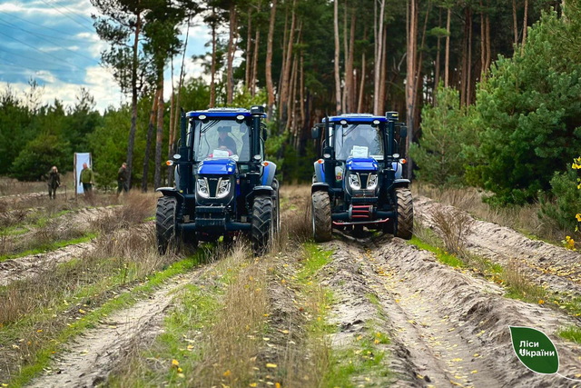 На Днепропетровщине восстанавливают леса после пожаров