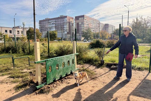 На просп. Мира отремонтировали площадку для выгула собак