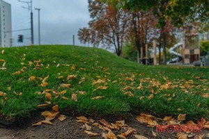 ���� ��������� ������� ������: � ����� � ����� ճ�������� ������ �������� ��������� �����