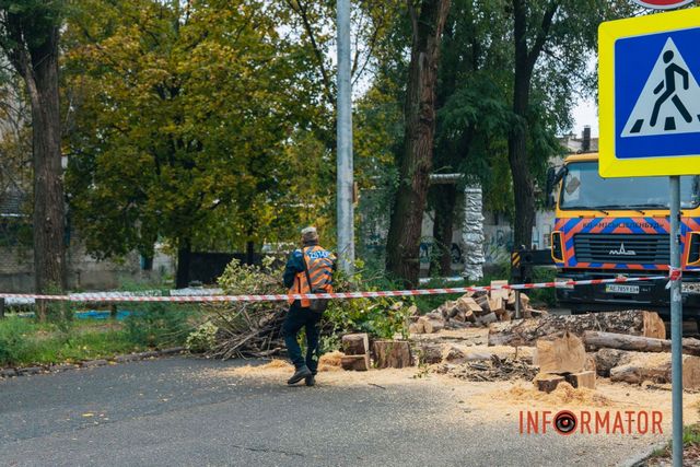 Водителям на заметку: в Днепре из-за вырубки деревьев перекрыли улицу вблизи проспекта Науки