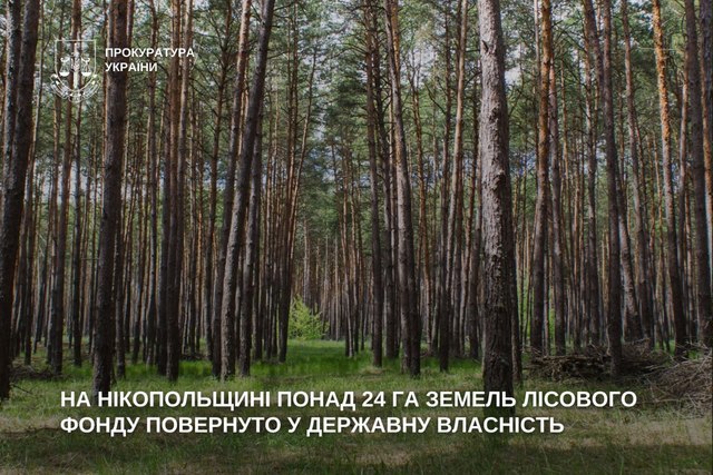 �� ������������ ����� 24 �� ������ ������� ����� ���������� � ��������������� �������������