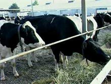 ������� �����������, �� ���� �� ������� ��������� ��������� ���������