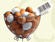 ���� ����������� ����