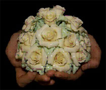 ������� �������� ���������� �������