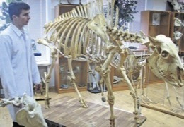 ������� ���������� �� ��������� ������� ������