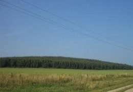 ��������� ������������ �������� ������������ �� ������� �����