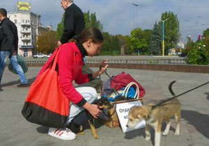 � ������� ������ ���������