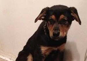 �� ����� ������ ������� �����