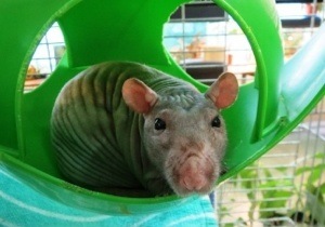 ������ ����� � ��������� ������ �������� �������������, ��� �������� ���� ����� ������