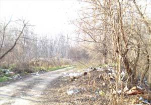 ���� ������������ �� ������