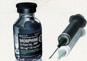 ��� ������ ������� �������������