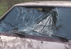 � �������� ��������� ����������� ������ �� �������� ������