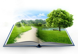 � ������ ���������������� ������ ����������� �� �������������� �����������