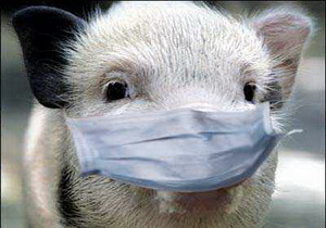 � ���������������� ��������� ���� �� ������������ ����������� ���� ������