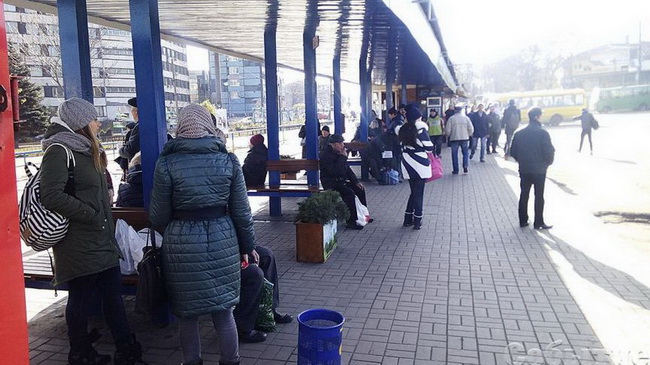 В Каменском благоустроили и озеленили остановку