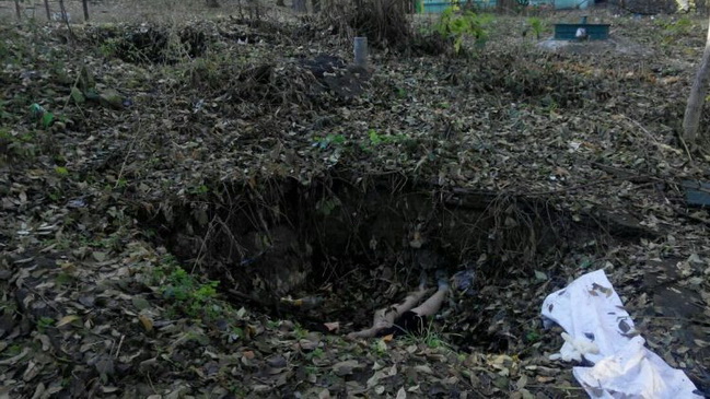 Каменчанин забил сожительницу до смерти из-за пузырька настойки боярышника