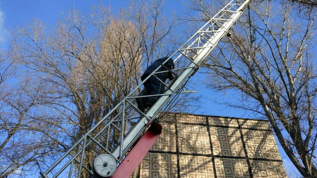 В Каменском спасатели сняли с дерева кота