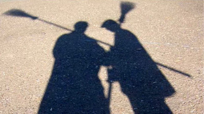 Лишние дворники в Каменском