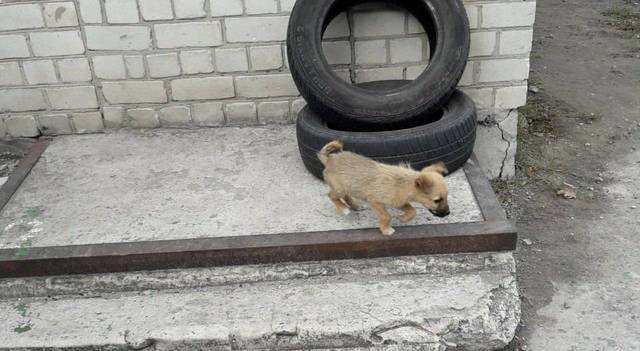 � ������ ��������� ���������� ��������� ������ ����������� ����������