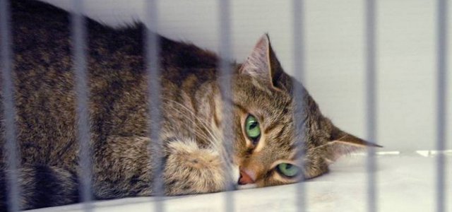 � ������ ����� ��� ��������� ����� ��������� � ������