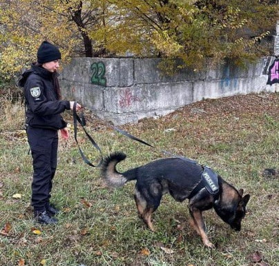 На Днепропетровщине полицейский пес помог найти пропавшего мальчика