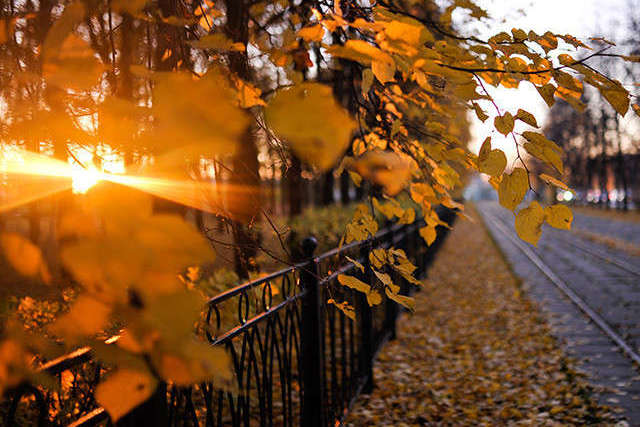 � ������� �� ���������������� ������� �� ���������